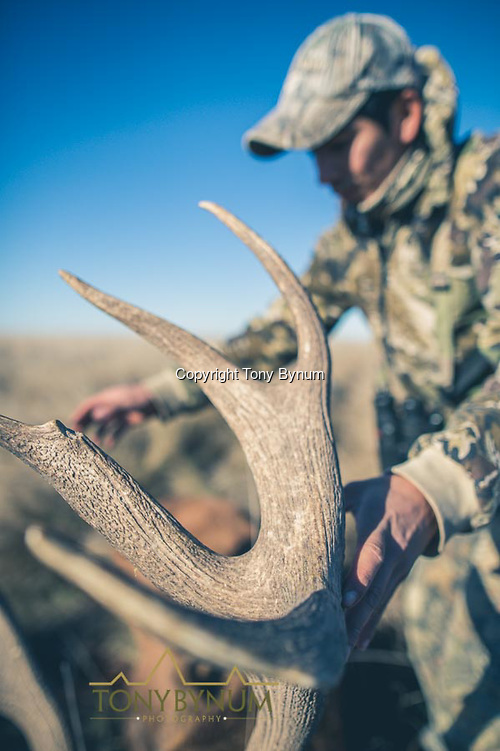 The crown of a mature, free ranging stag. La Pampa, Argentina ©tonybynum.com