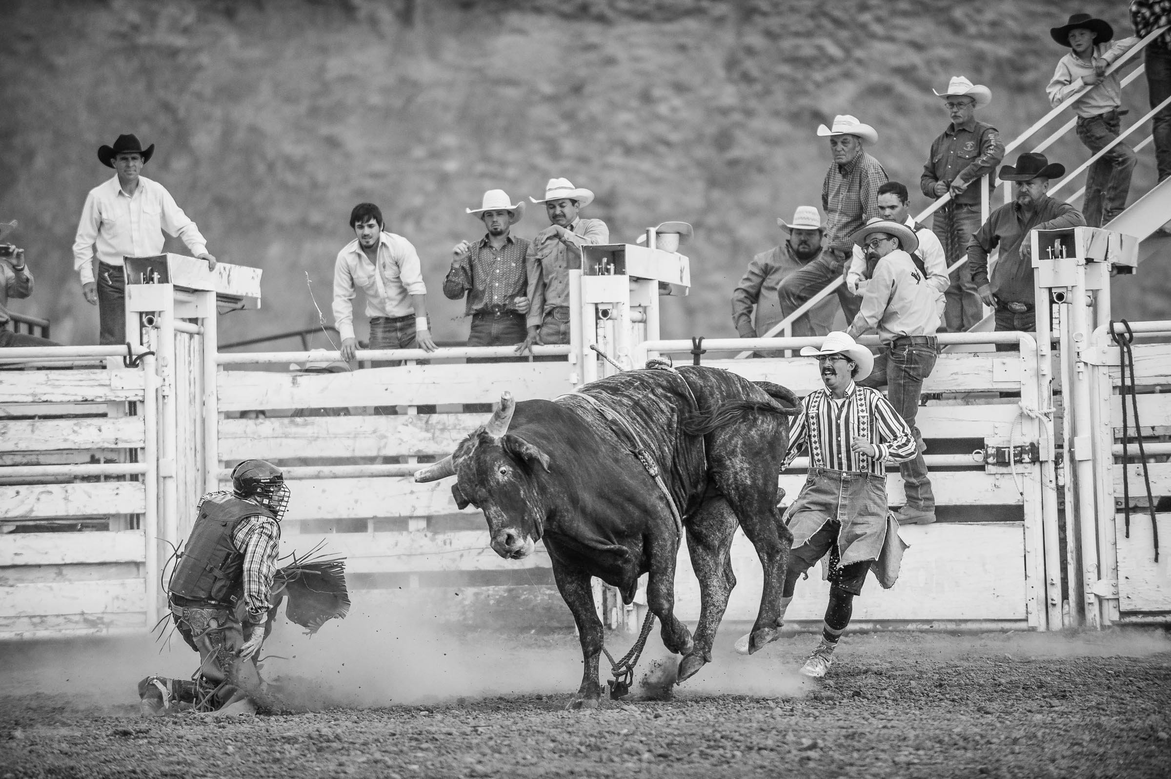 rodeo_whisky-bent_bynum-2626.JPG