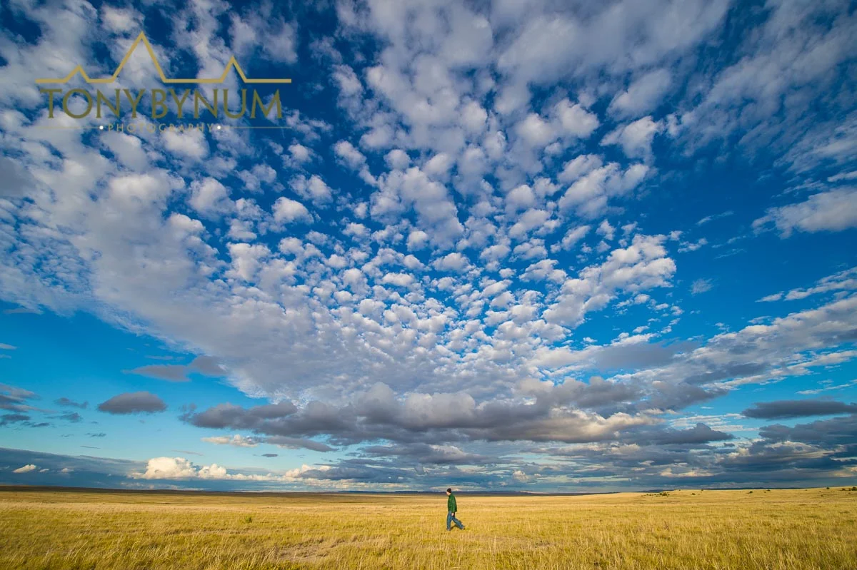 A lone hiker on the prairie, Eastern Montana near Ekalaka. Shot on assignment for the Montana Wilderness Association.