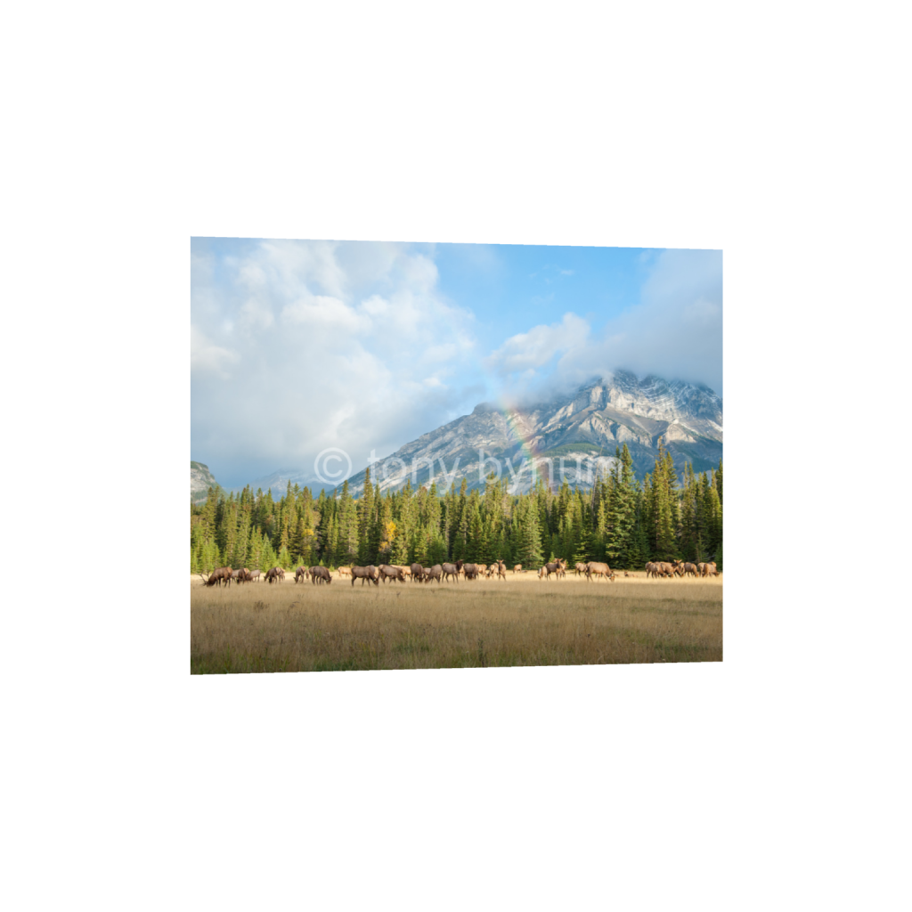 ptq_1_6_665_0_6653_5323_0_false_ffffff_0_0_eea7c608dea7cabace4fbcd49af0727a.png