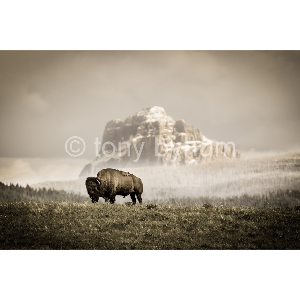 image_original_eea7c608dea7cabace4fbcd49af0727a.png