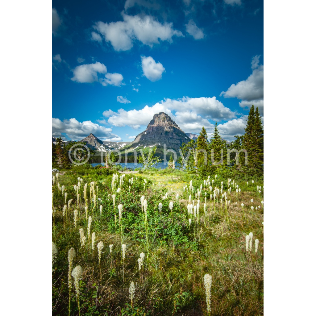 image_original_eea7c608dea7cabace4fbcd49af0727a.png