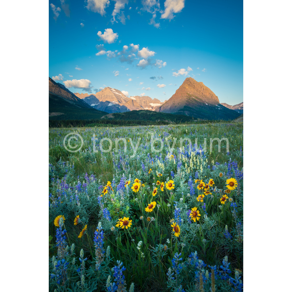 image_original_eea7c608dea7cabace4fbcd49af0727a.png