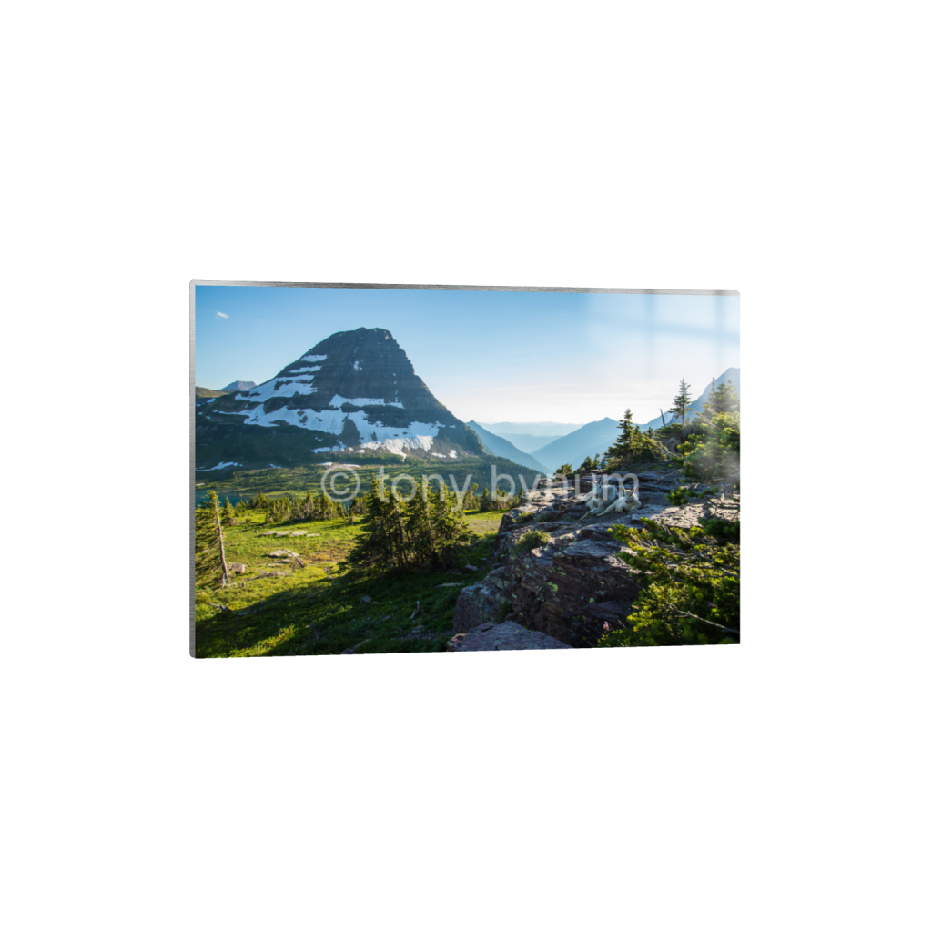 ptq_13_3_6_0_7987_5325_0_false_ffffff_0_0_eea7c608dea7cabace4fbcd49af0727a.png
