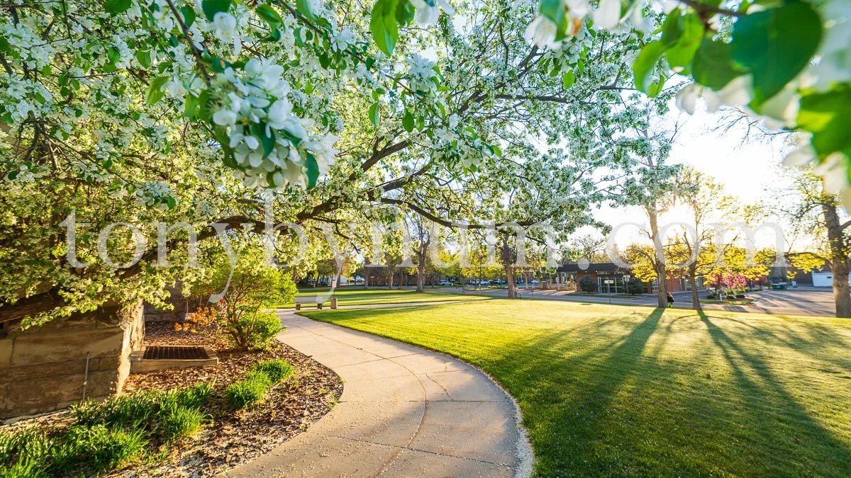 great falls commercial photography-3802.JPG