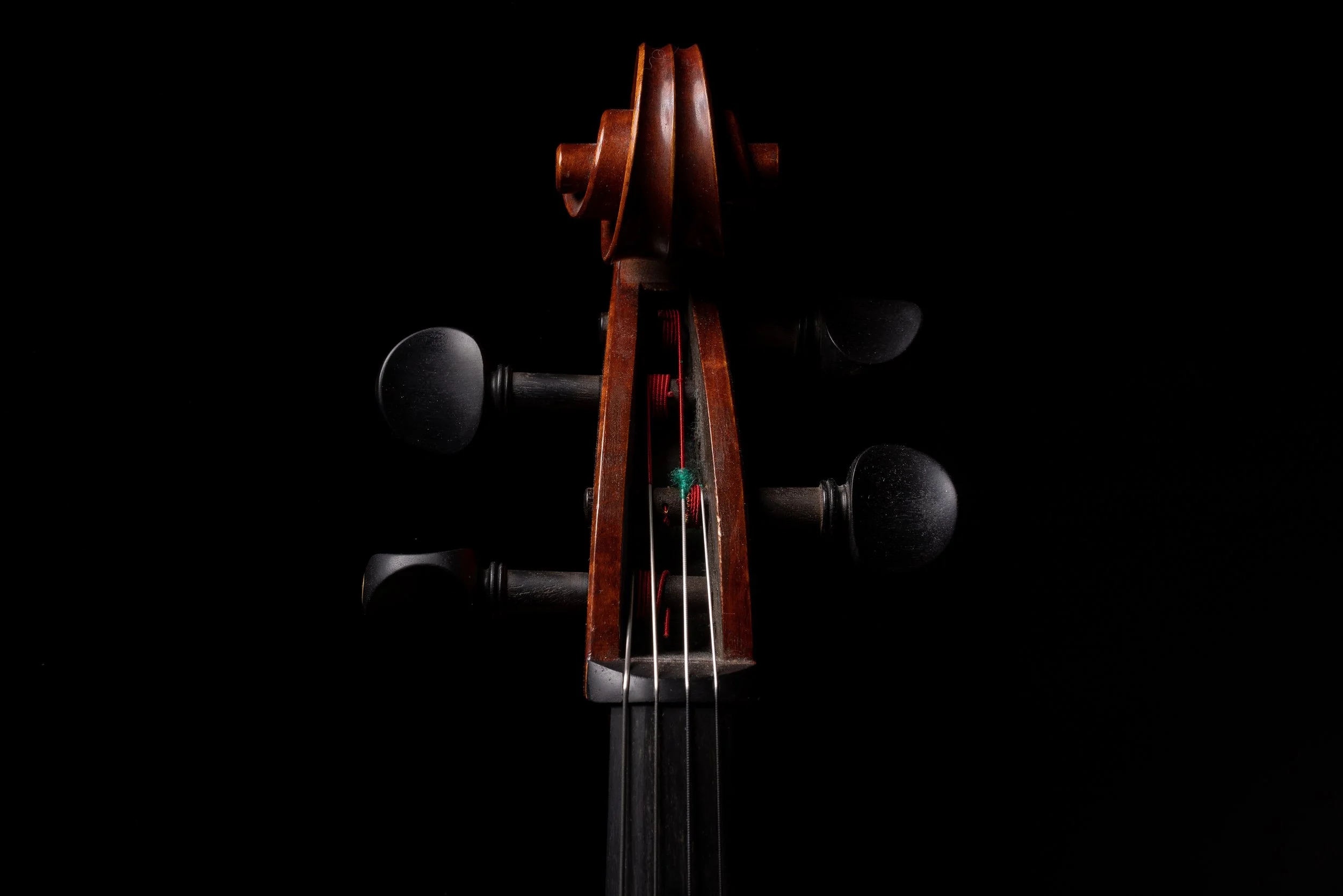 Bion High Res029.jpg