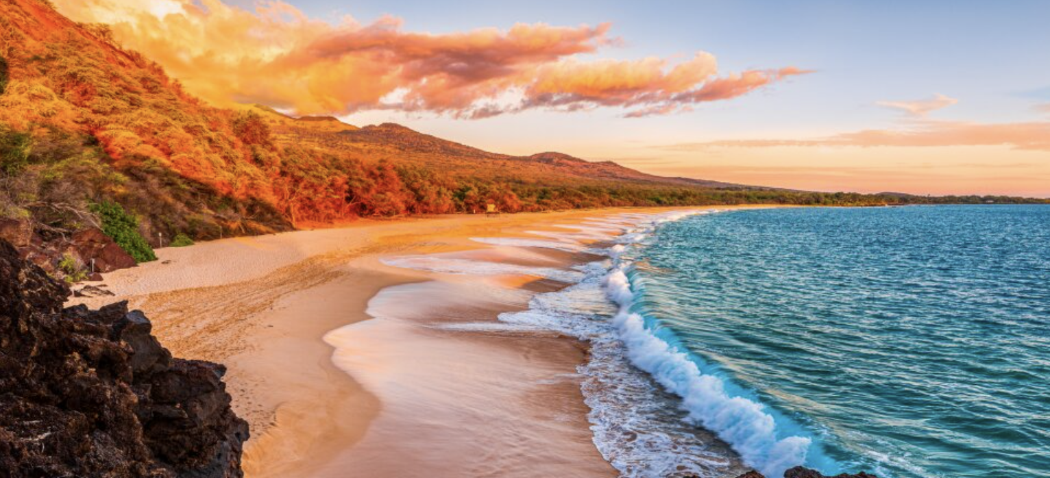 Screenshot 2026-03-18 at 7.51.38 AM.png