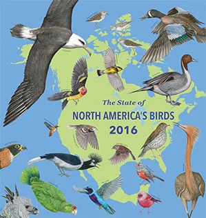 2-SOTB2016_cover_299px.jpg