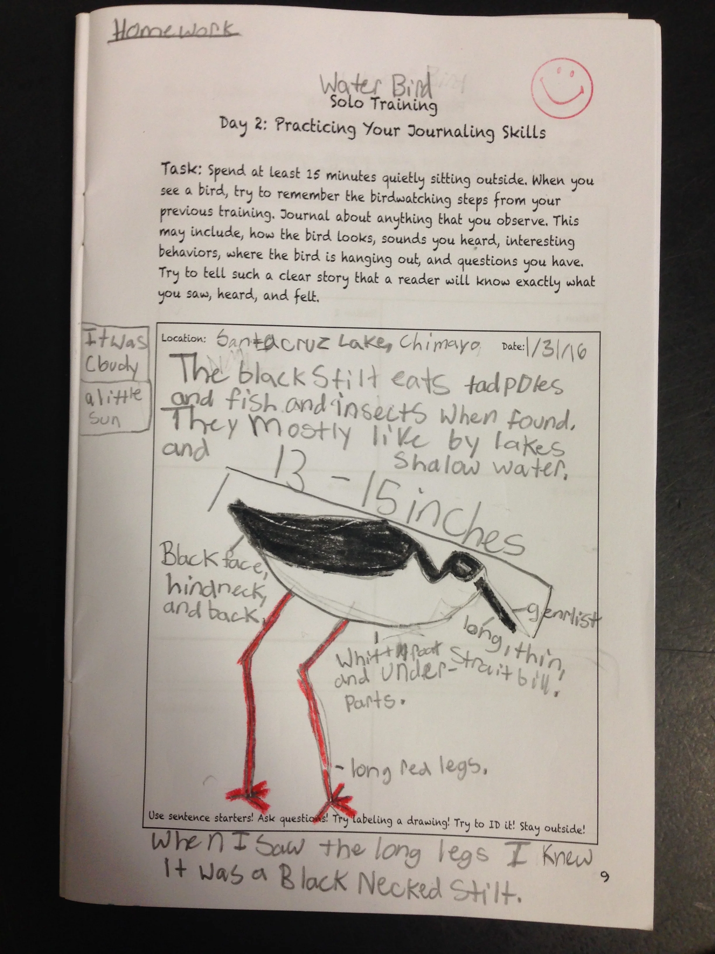Created a custom field journal for students to creatively record their observations and thoughts about the wildlife that they see at school and at home.