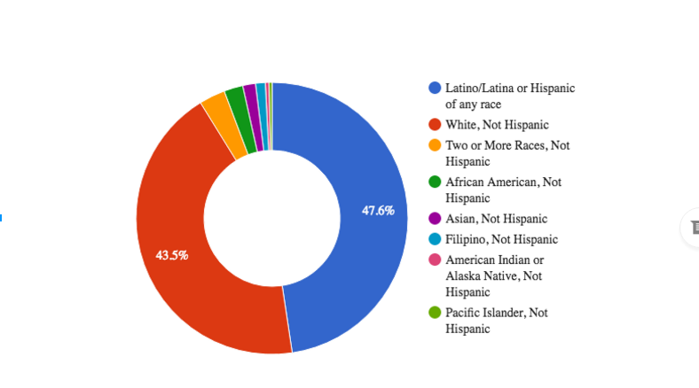 Ethnicity of BSP students in 2015-16