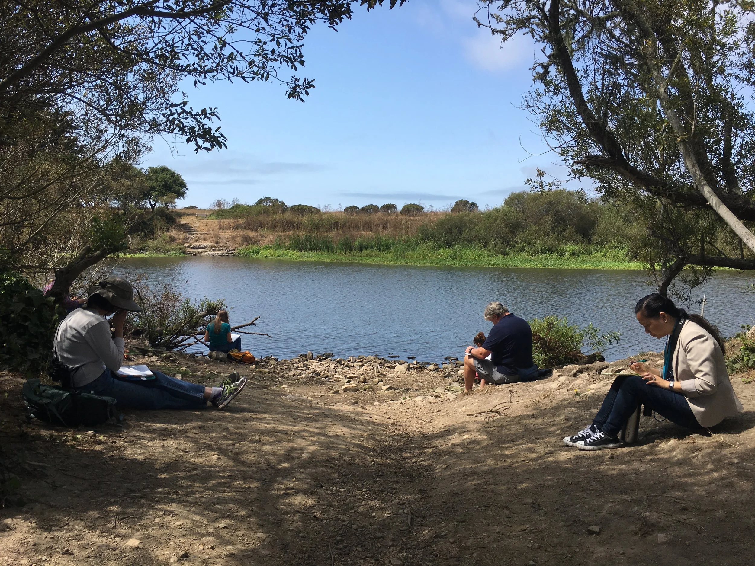 Journaling during a teacher workshop at Antonelli Pond in Santa Cruz, CA.
