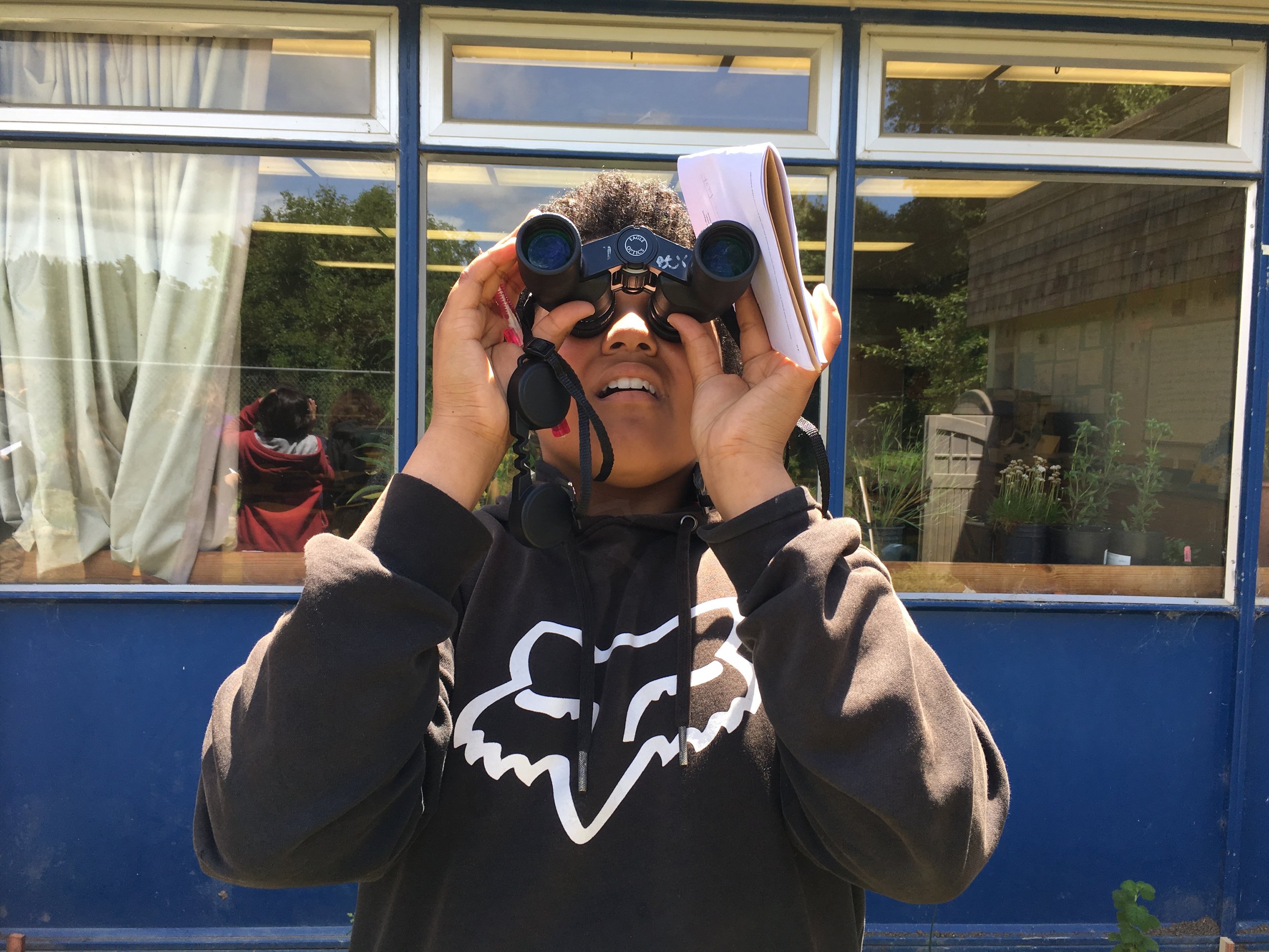 Employment — The Bird School Project