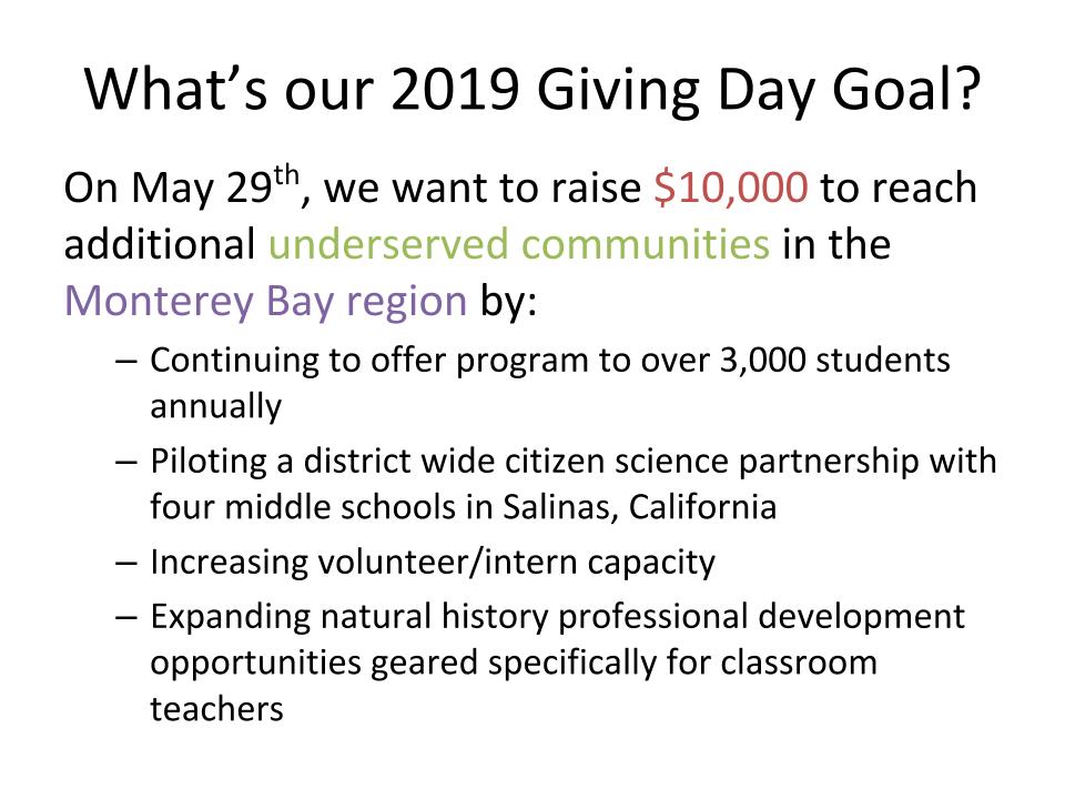 Giving day fundraising guide (1).jpg