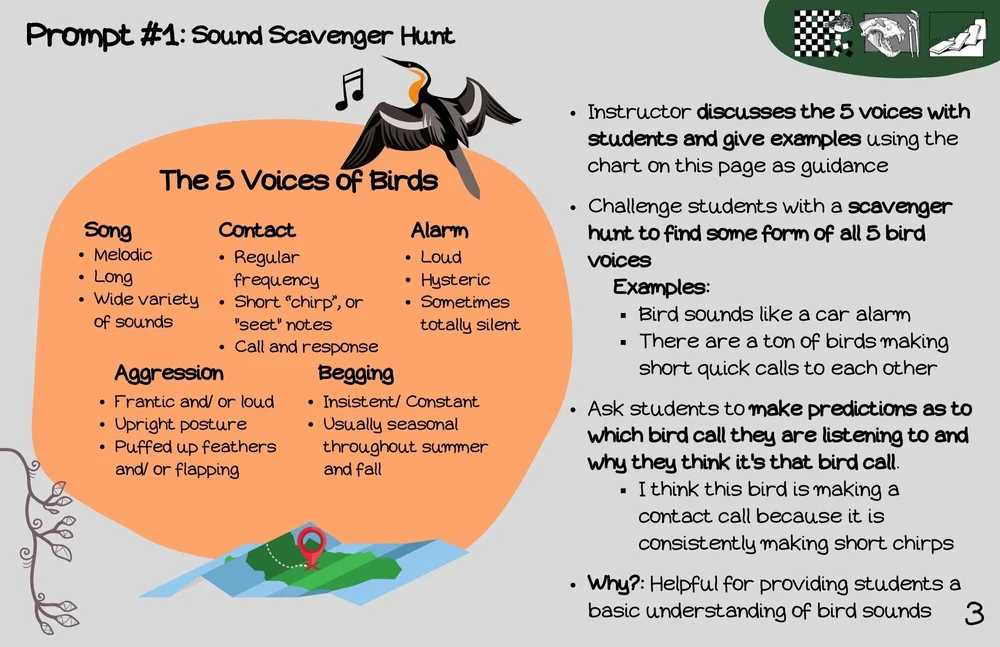 How to Describe Bird Noises: Expert Tips to Capture Every Sound