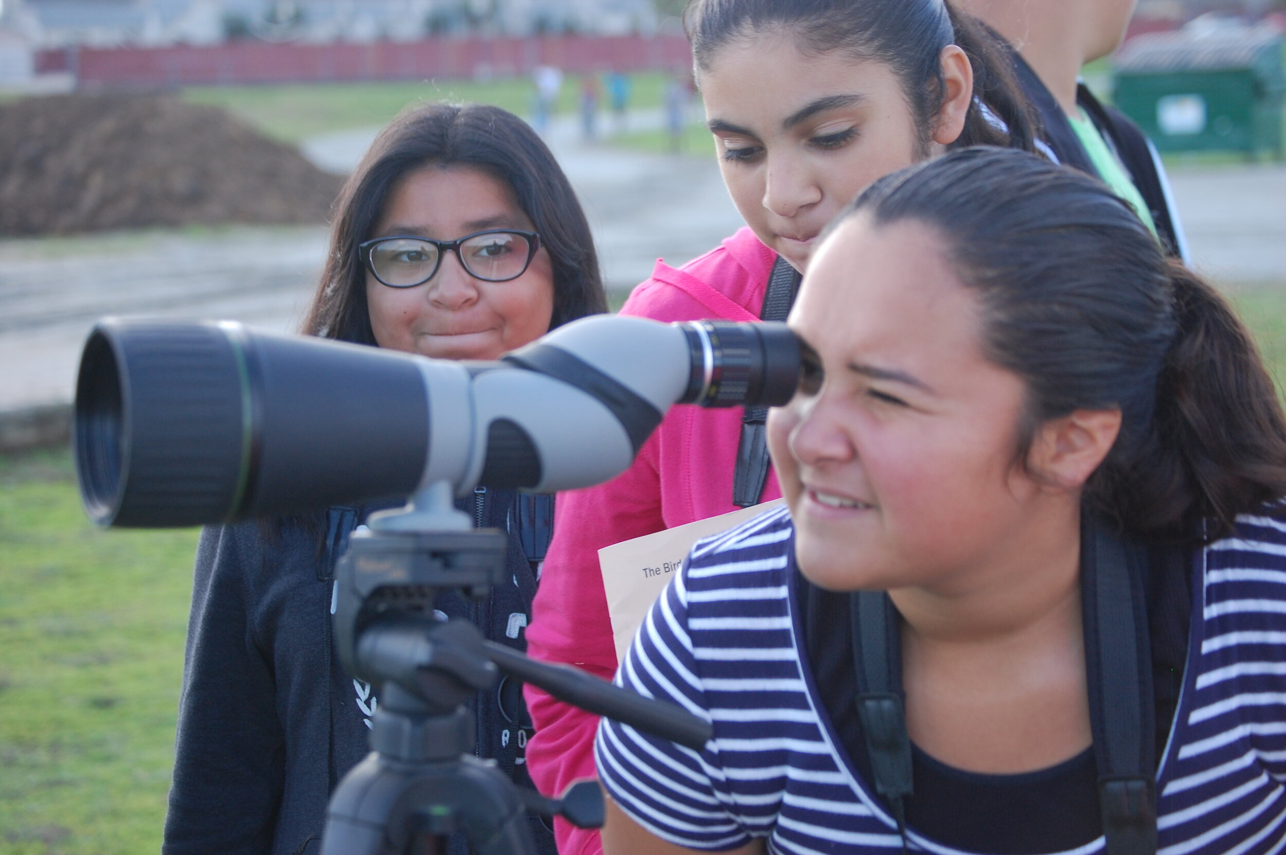 Give — The Bird School Project