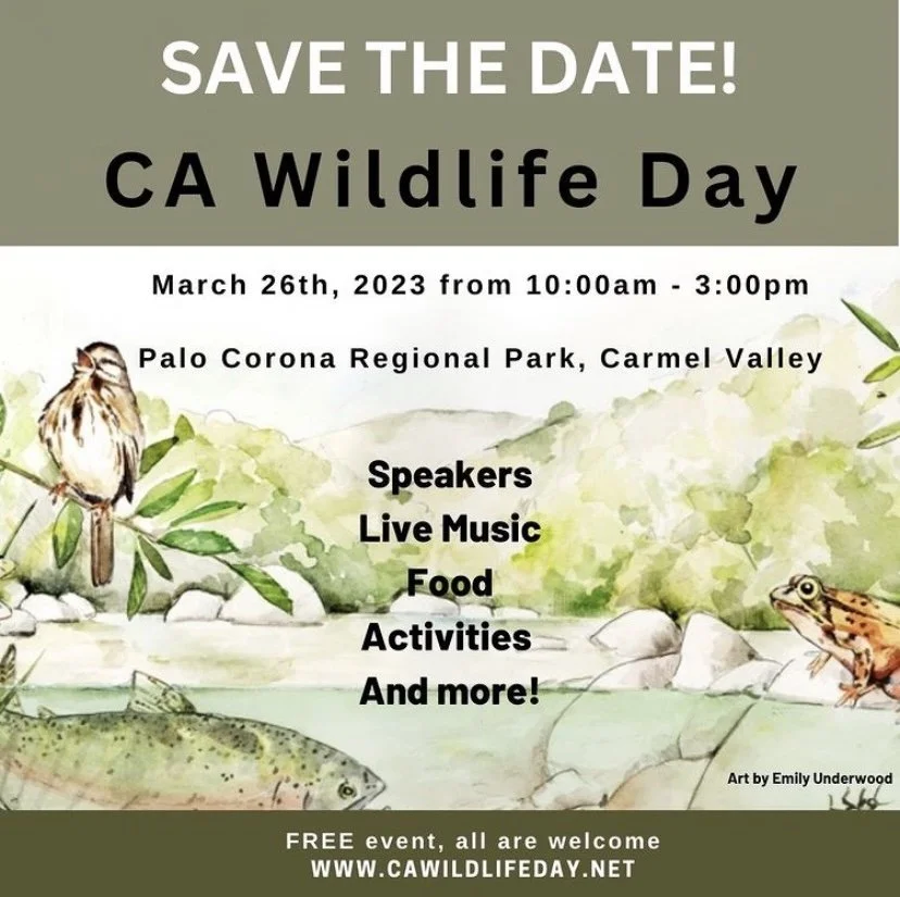 California Wildlife Day