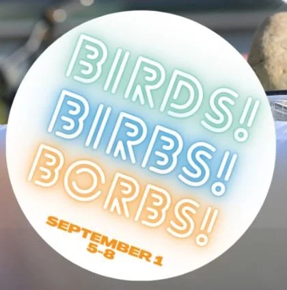 First Friday- Birds, Birbs, and Borbs