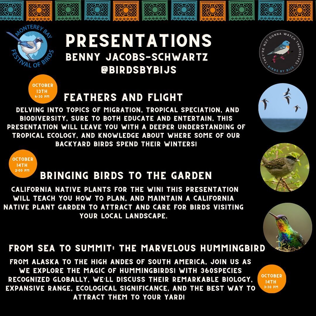 Monterey Bay Festival of Birds starts today! 

Join @birdsbybijs during his various presentations this weekend! 

- Feathers and Flight Presentation today at 6:30 pm!
- Bringing Birds to Your Garden - 10/14 at 2:00 pm
- From Sea to Summit -10/14 at 3