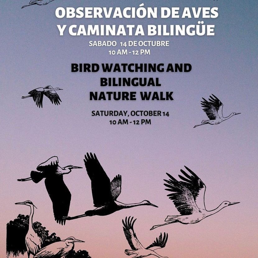 Thank you so much to @watsonvillenaturecenter for leading a free family friendly and bilingual bird walk for the community during Monterey Bay Festival of Birds this weekend!

Observaci&oacute;n de Aves y Caminata Biling&uuml;e
S&aacute;bado, Octubre