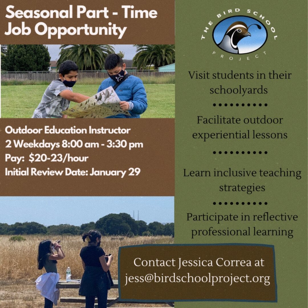 Bird School Project is hiring!

We are looking for someone to join our team as a seasonal part time instructor and help students investigate the birds right outside their classrooms throughout the Monterey Bay Region. 

If you or someone you know is 