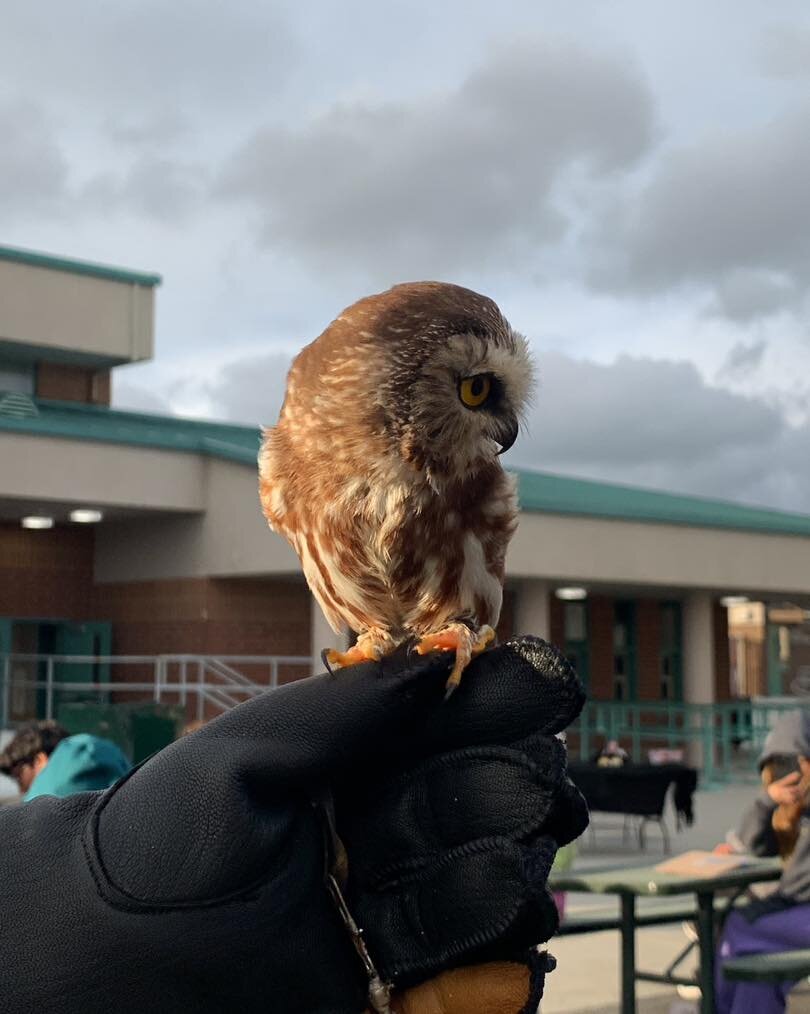 Happy Superb Owl Day!
No matter &ldquo;who&rdquo; you are rooting for in the game, we think it is a great day to appreciate our nocturnal feathered friends. 
.
Photos:
1. From a 2023 LPMS Community Club meeting with BSP and VWS where Antonio shared w