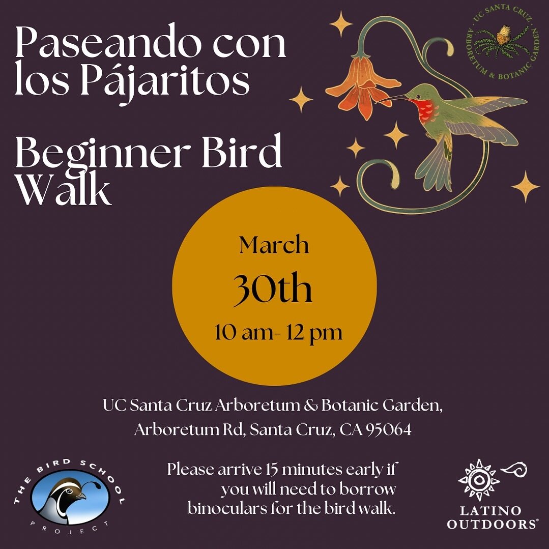 Join us for a bird walk at the UCSC Arboretum next Saturday, March 30th from 10 am- 12 pm.
- Family friendly and beginner level birding. 
-Binoculars will be available to use during the walk. Please arrive 15 minutes early if you need to borrow binoc