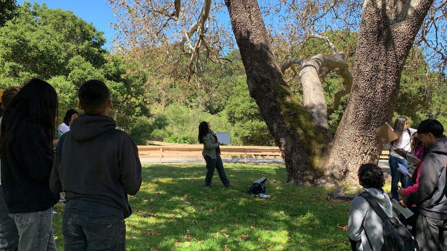 Bird School Project had a great time out at Toro Park for field trips with Harden Middle School students throughout April and May.