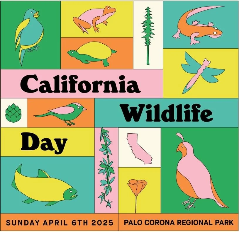 California Wildlife Day