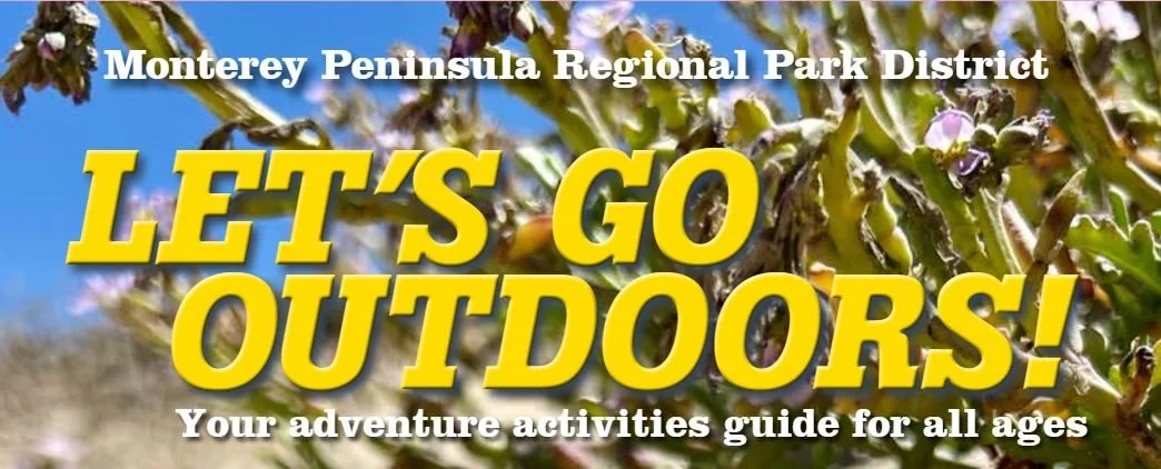 MPRPD- LGO: Beginner Bird Walk at Locke-Paddon