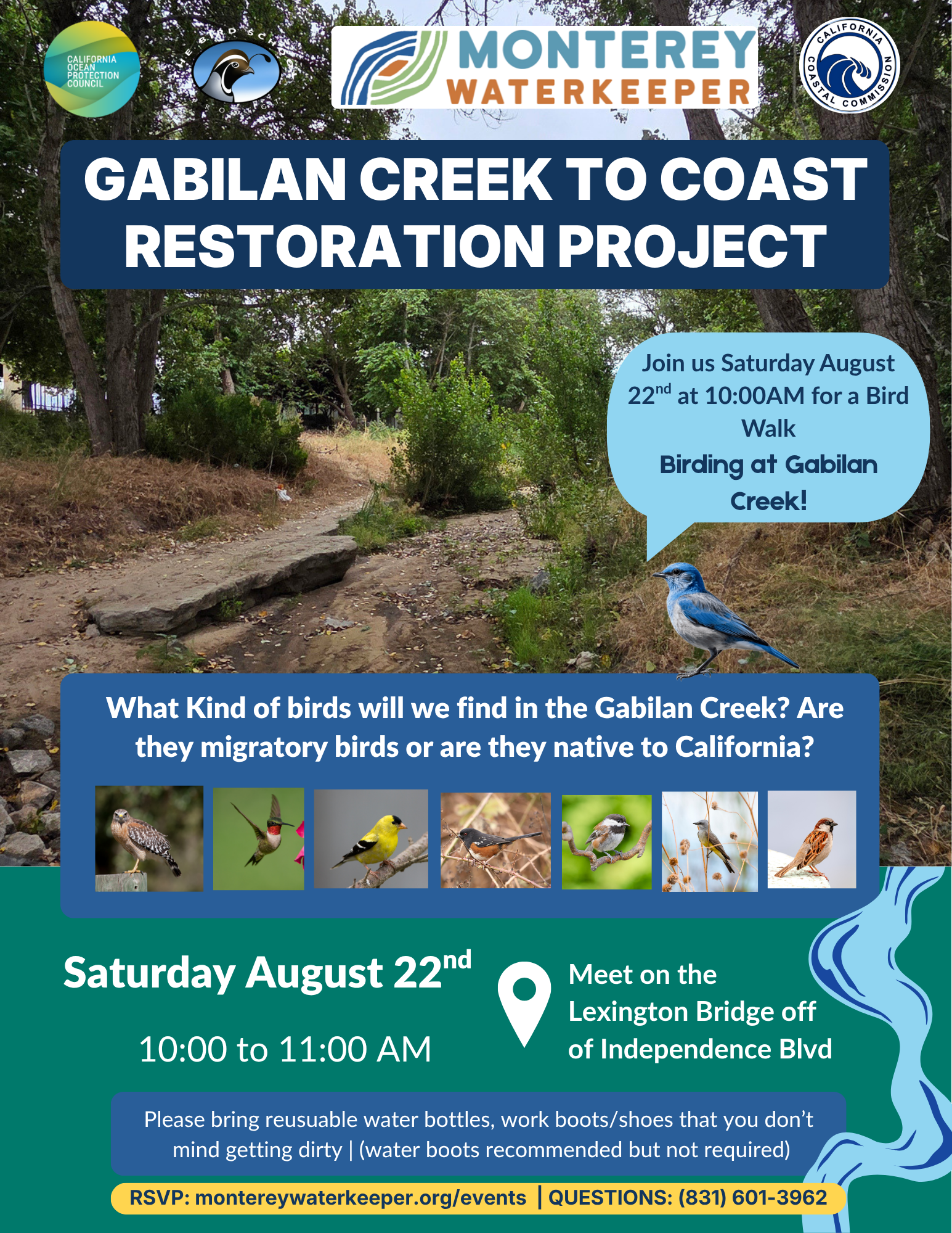 Gabilan Creek Bird Walk with Monterey Waterkeeper