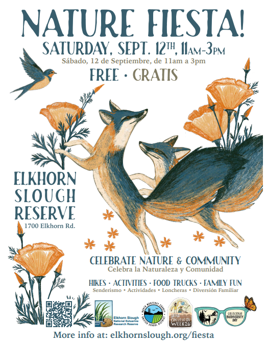 Nature Fiesta