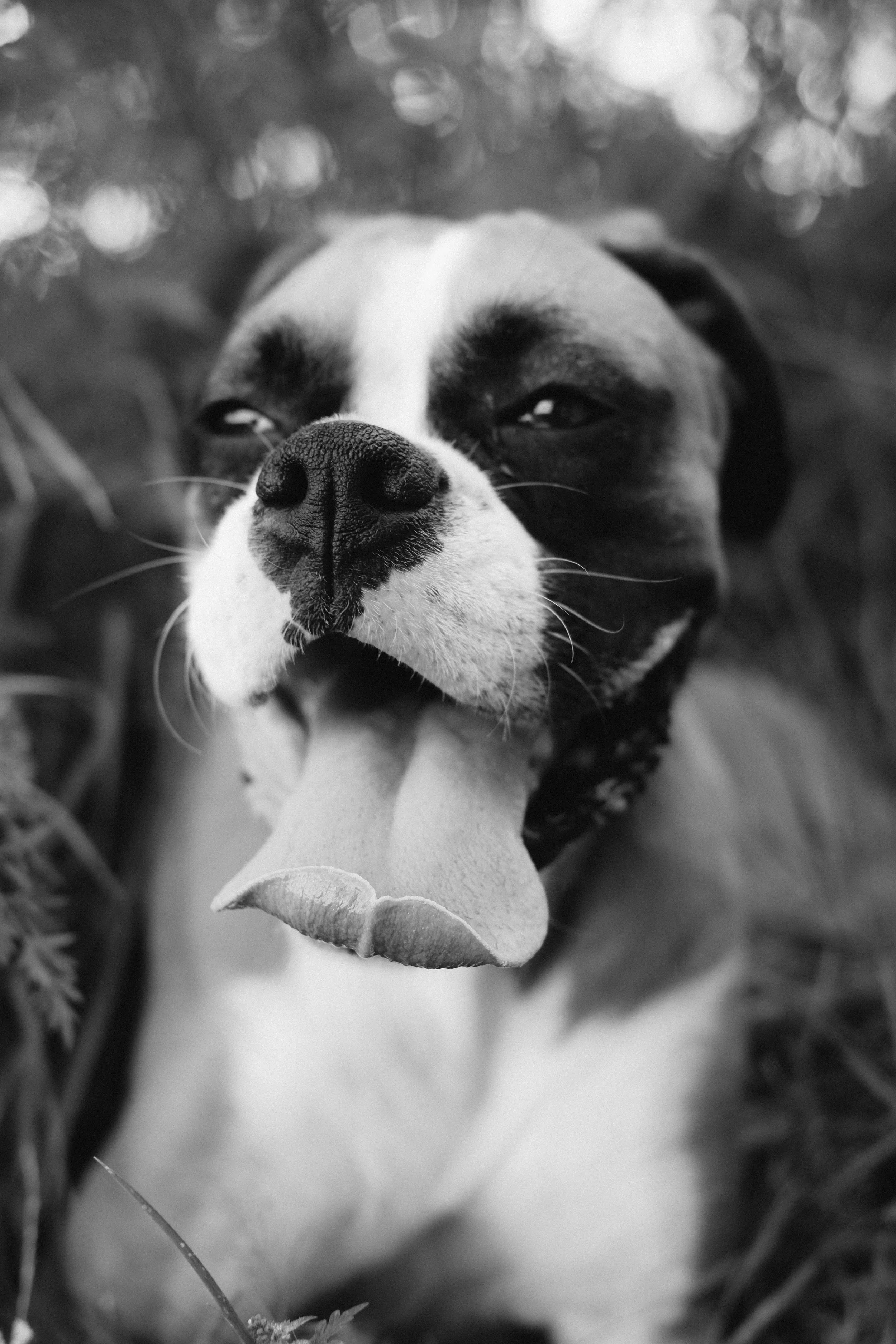 DSCF2041.jpg