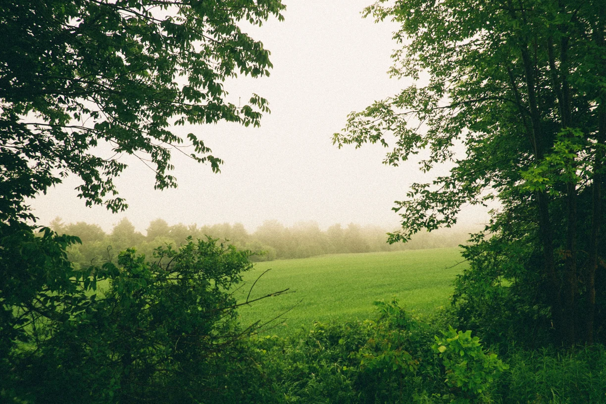 DSCF2644.jpg