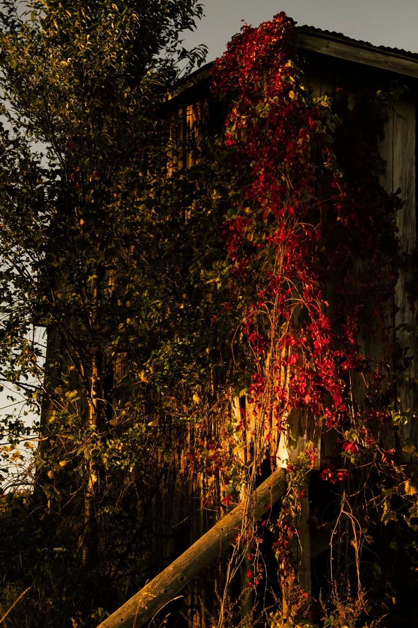 DSCF1069-2.jpg
