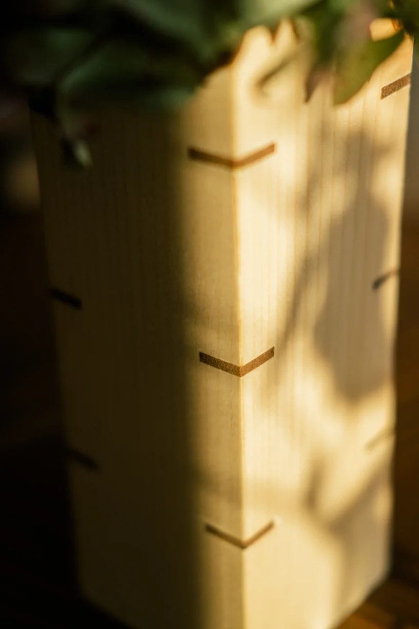 DSCF1179.jpg