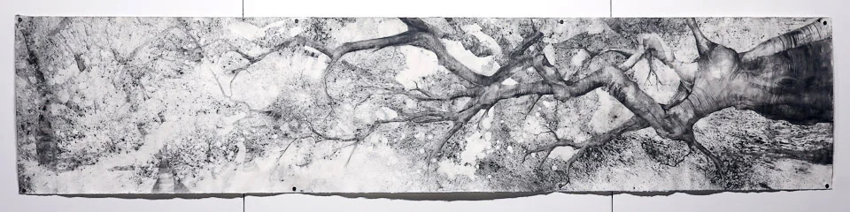Branching Out