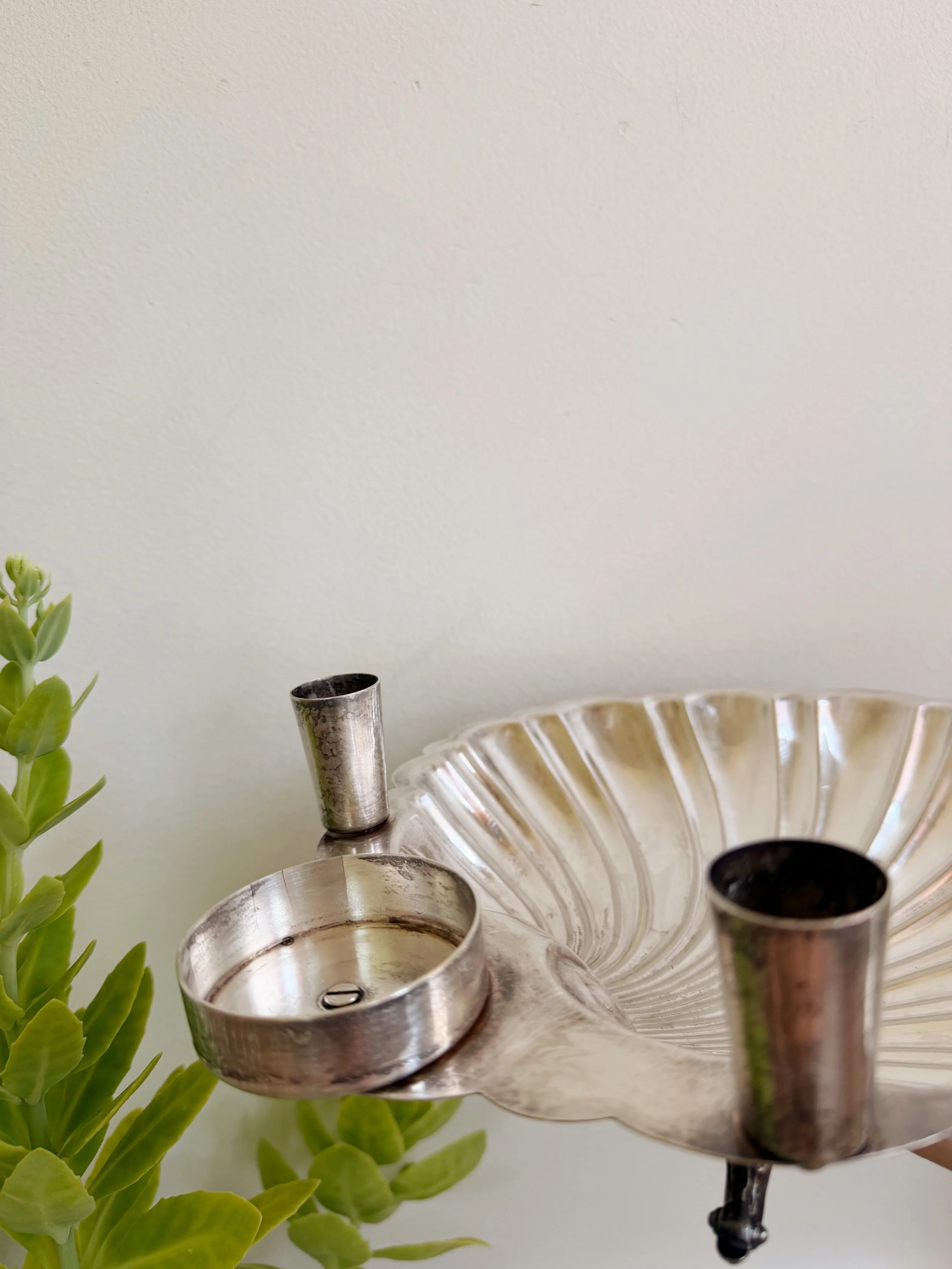 ACS_11138.JPG