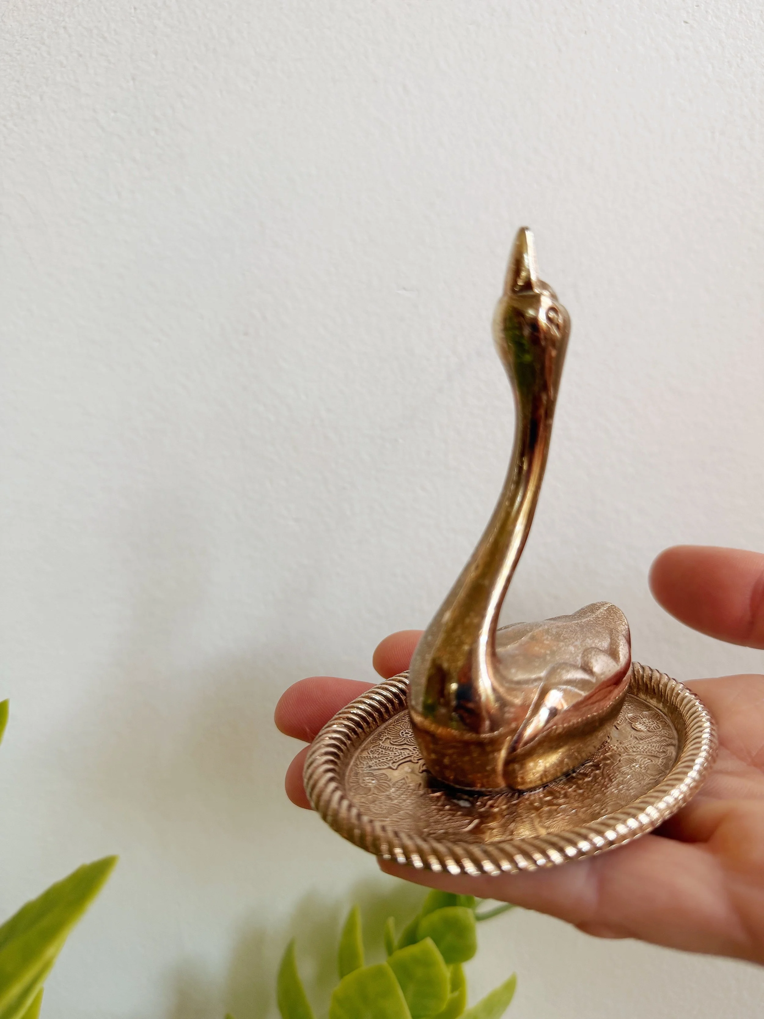 ACS_11129.JPG