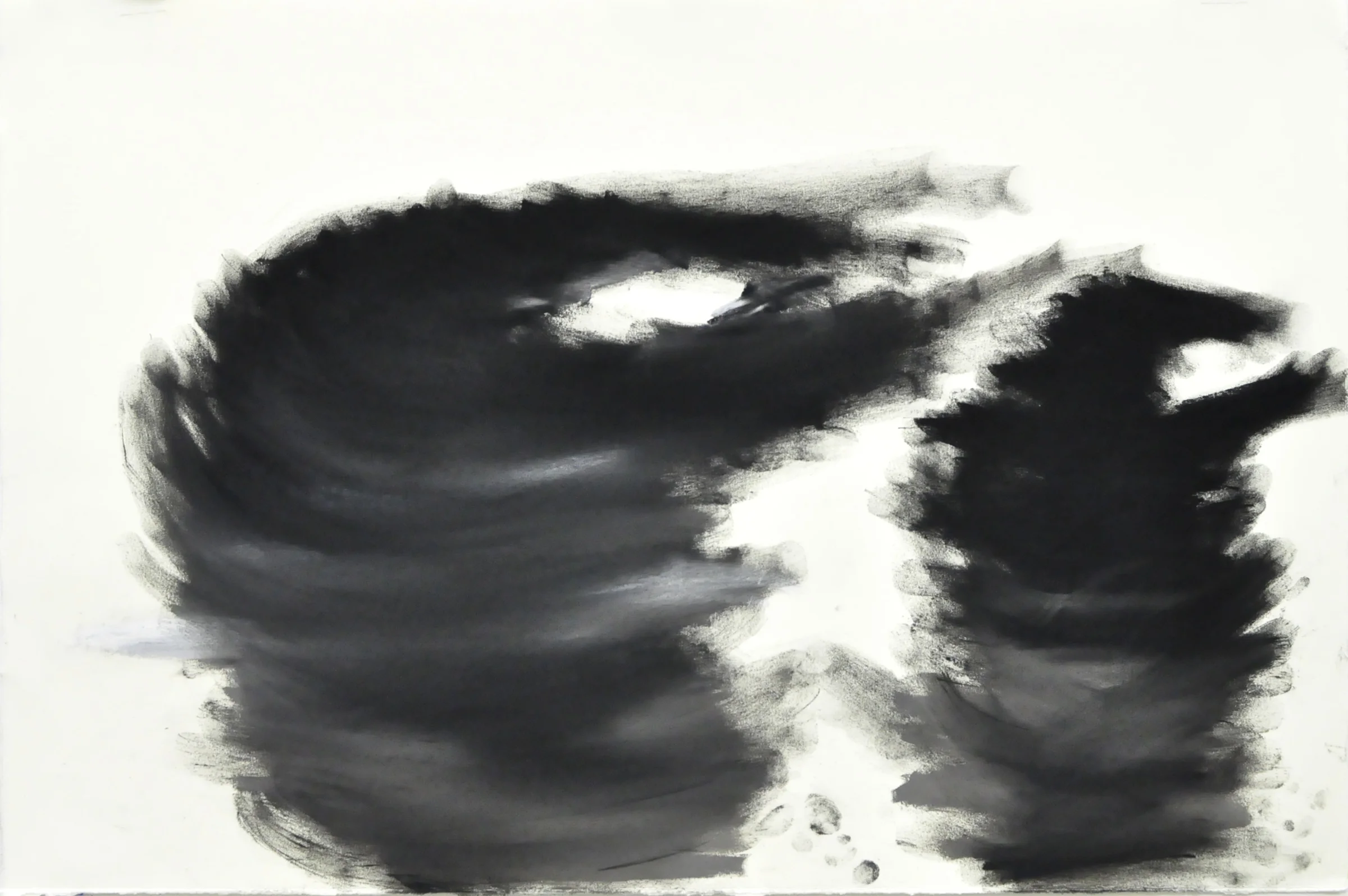 Oakland Seaweed Study #2