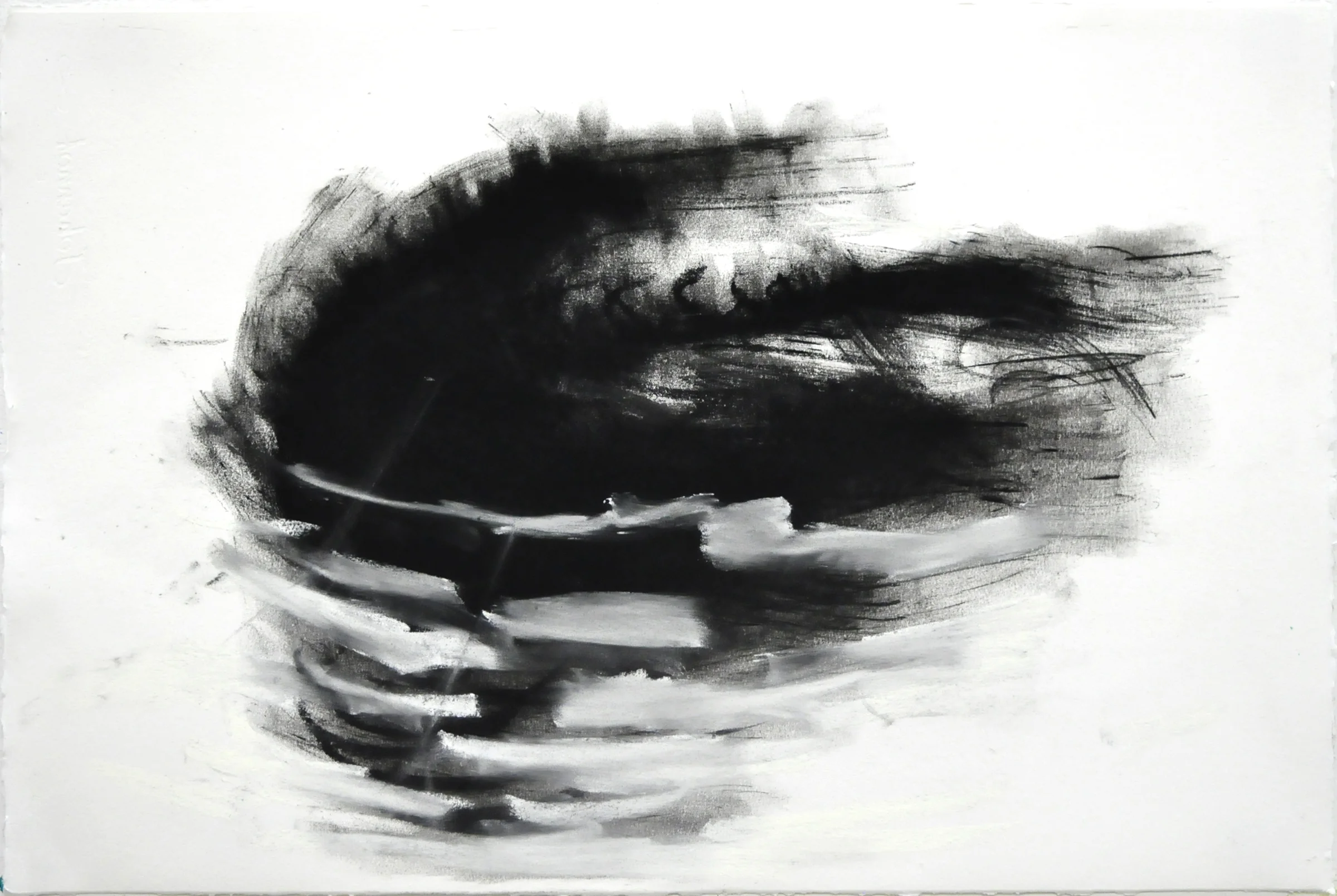 Oakland Seaweed Study #3