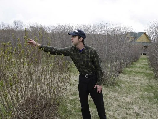Andrew Pittz examines an aronia berry bush at Sawmill Hollow Family Farm. (Photo: Nati Harnik, AP)