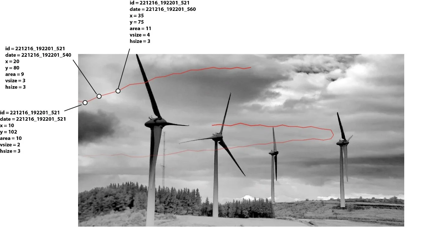 dimensions_trajectory_bird.jpg