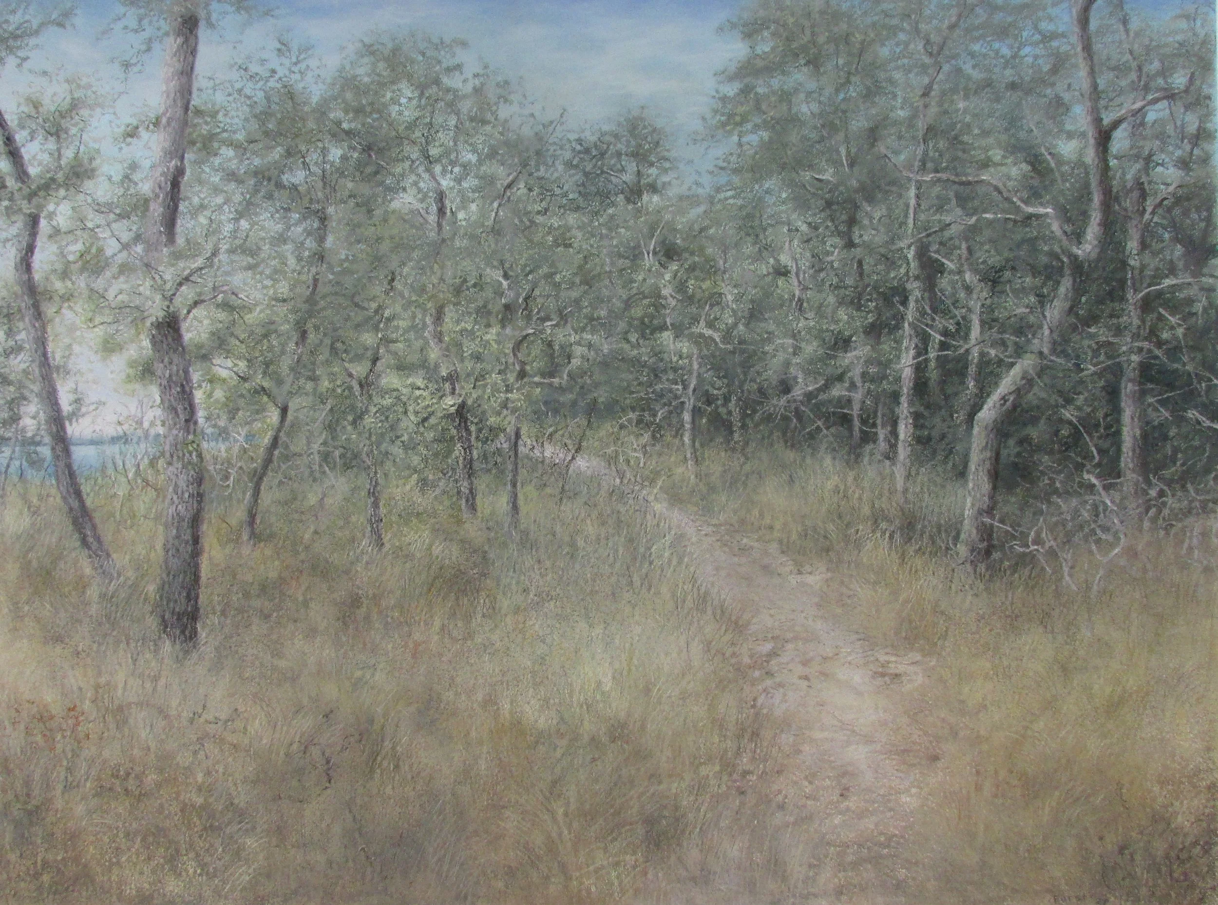 "Glimpse"  pastel 25 x 36 inches