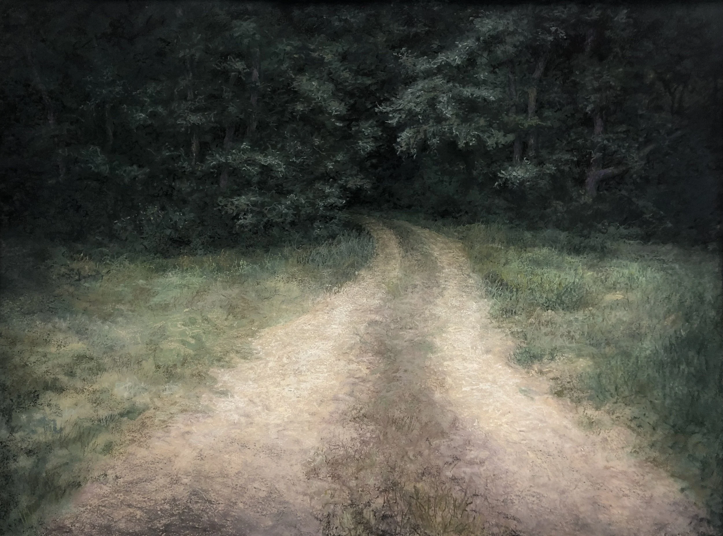 "Into" pastel 25 x 36 inches