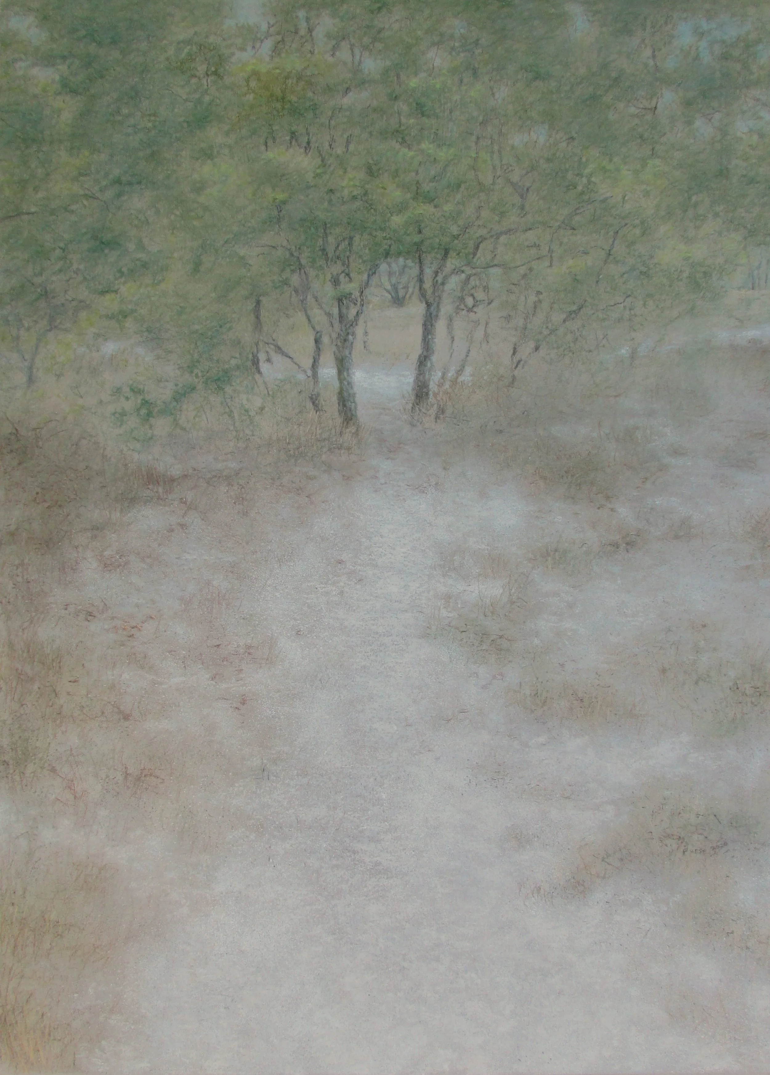 "Fro" pastel 28 x 20 inches