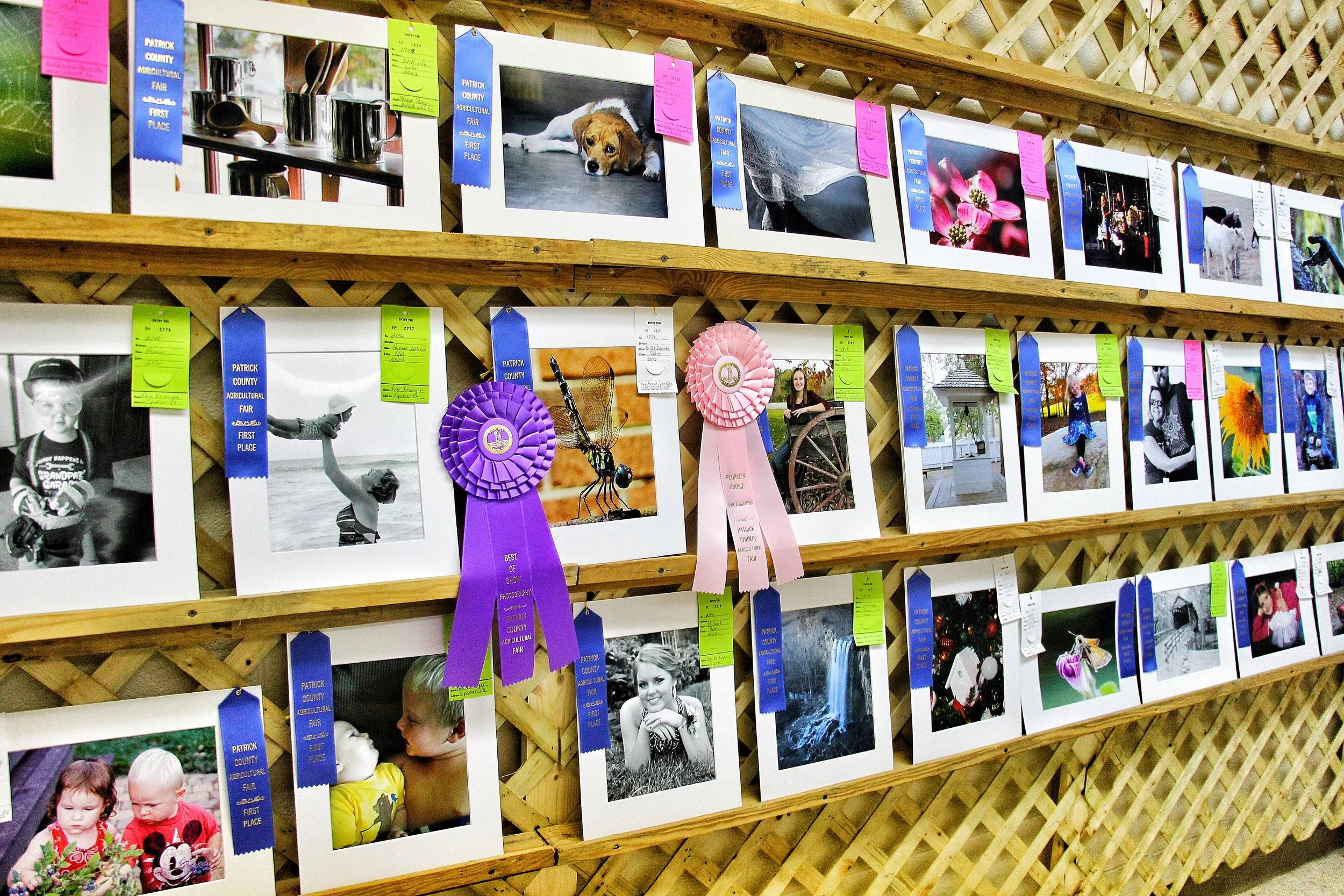 Exhibit Check-In
