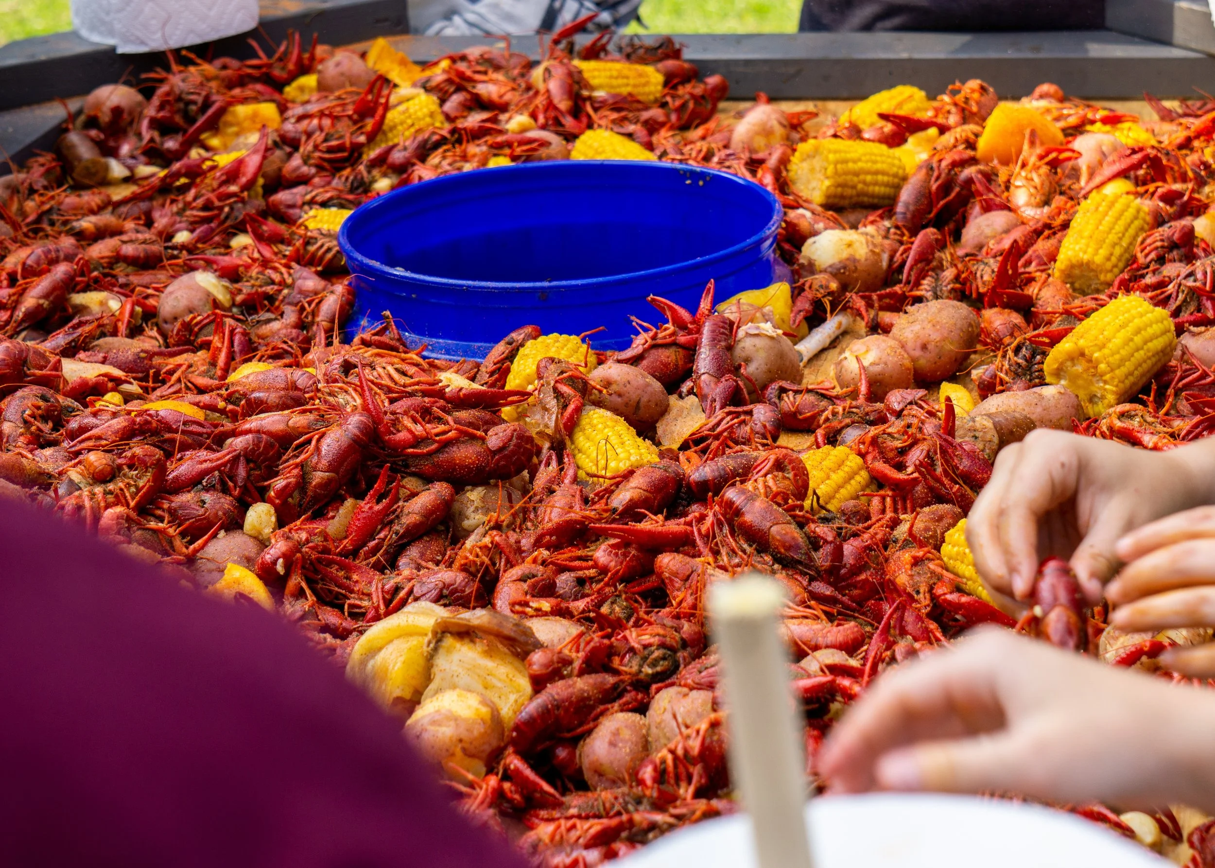 Club Celebration - Low Country Broil