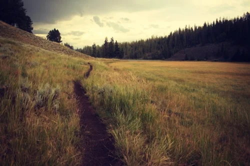path 1.jpg
