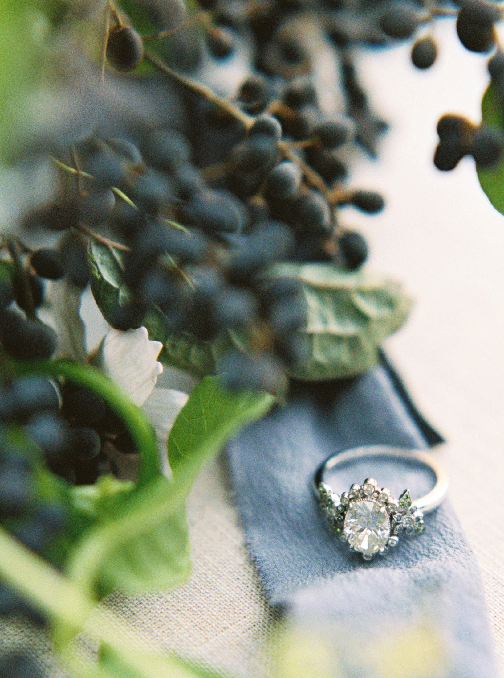 KylieMartinPhotography_90.jpg