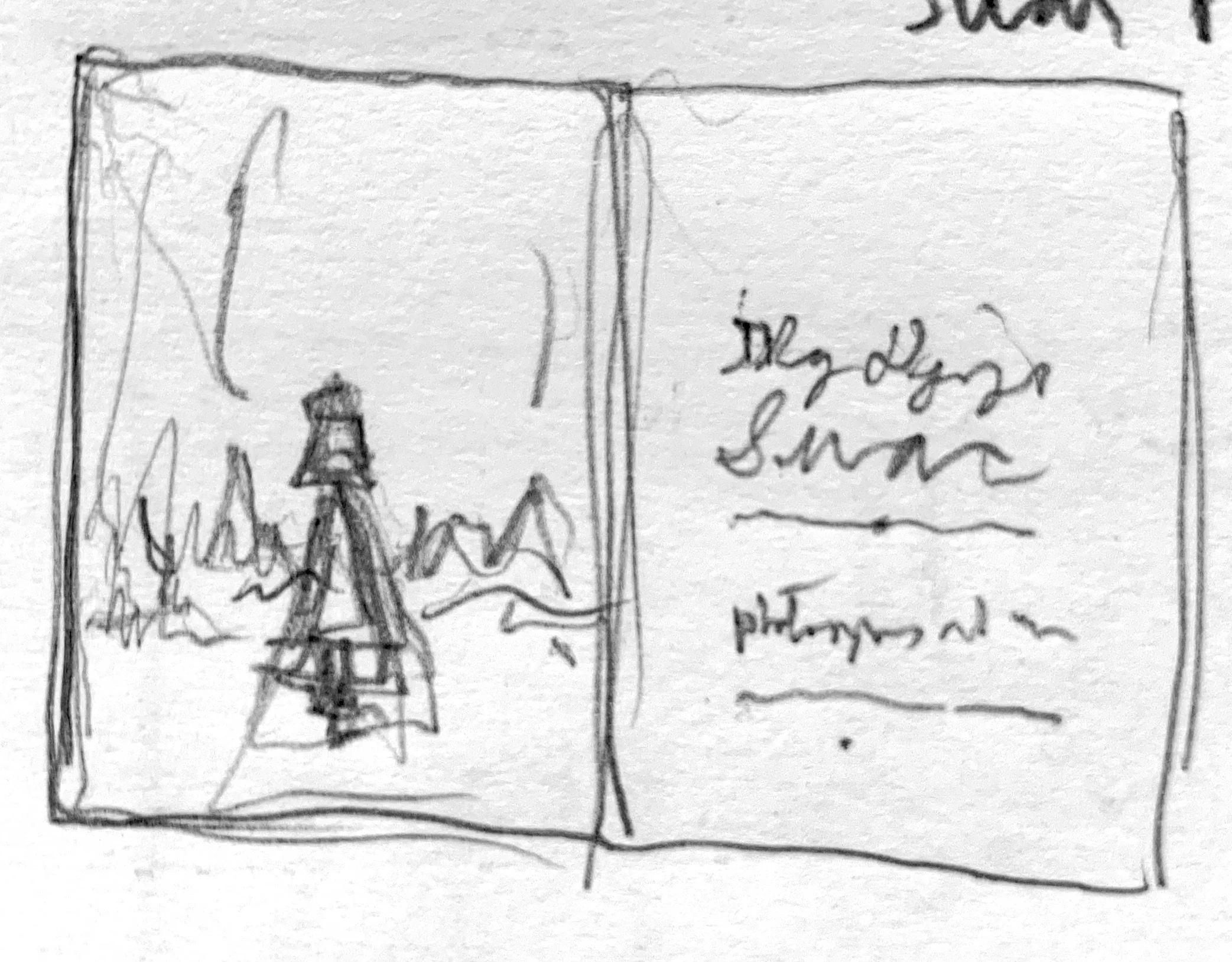   Mid or full black and white shot of swan with back to camera. ALT. Facing camera but with head or eyes cast downwards. ALT 2. Swan with back to camera but she has her head turned to look at camera. Title page opposite of image.  